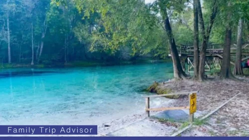 Activities to do at Gilchrist Blue Springs